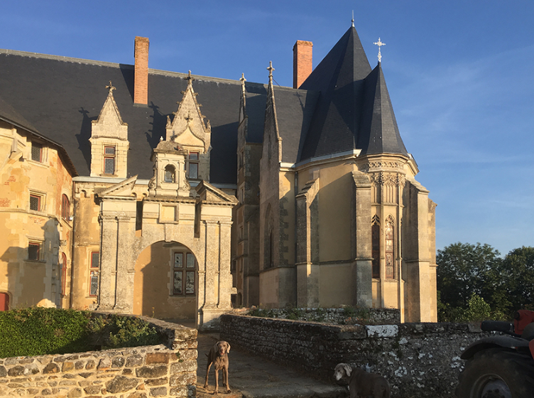 Chateau de Vire, Vire-Normandie, France, France